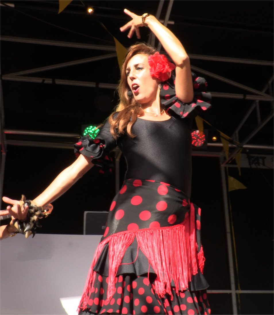 Fiesta Espanola, www.zorg-artiesten.nl